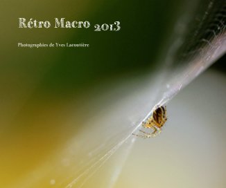 Rétro Macro 2013 book cover