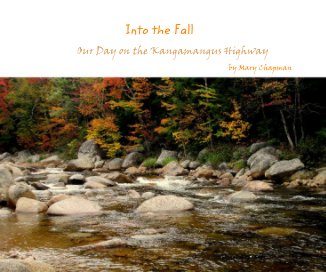 Into the Fall book cover