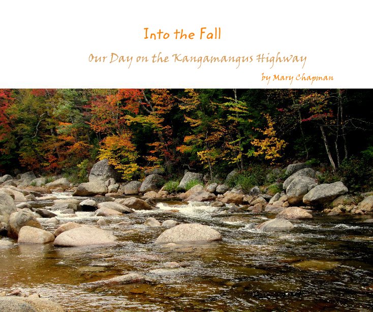 Ver Into the Fall por Mary Chapman