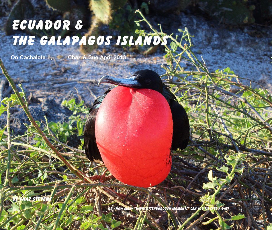 Ver Ecuador & The Galapagos Islands On Cachalote II, Chaz & Sue April 2013 por Chaz Stevens
