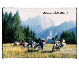 Slovinsko 2013 book cover