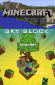 SKY BLOCK book cover
