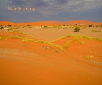 Namibia 2013 book cover