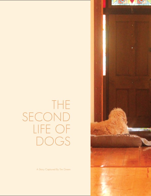 View The Second Life Of Dogs by Tim Green