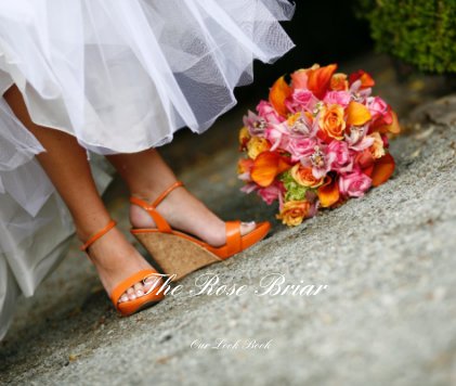 The Rose Briar book cover