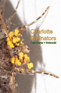Charlotte Pollinators book cover