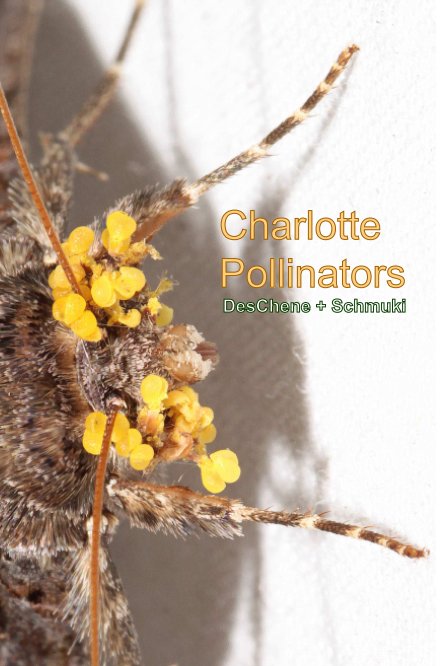 View Charlotte Pollinators by Wendy DesChene + Jeff Schmuki