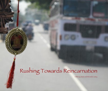 Rushing Towards Reincarnation Anthony Swan and Miranda Lawry book cover