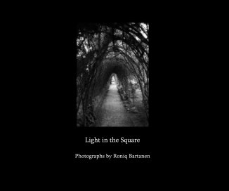 Light in the Square book cover