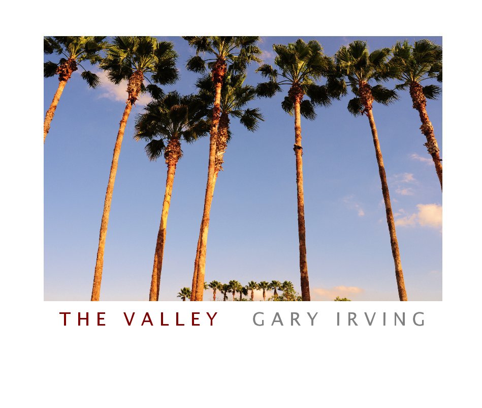 View T H E  V A L L E Y by Gary Irving