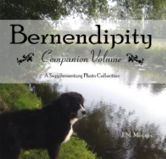 Bernendipity Companion Volume book cover