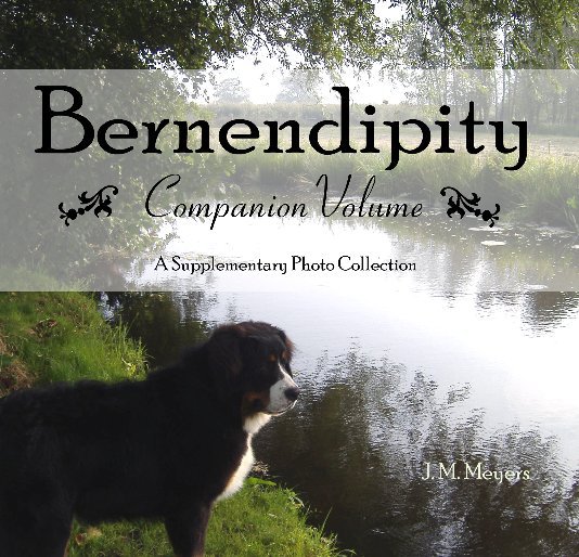 Ver Bernendipity Companion Volume por J. M. Meyers