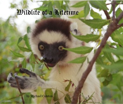 Wildlife of a Lifetime book cover