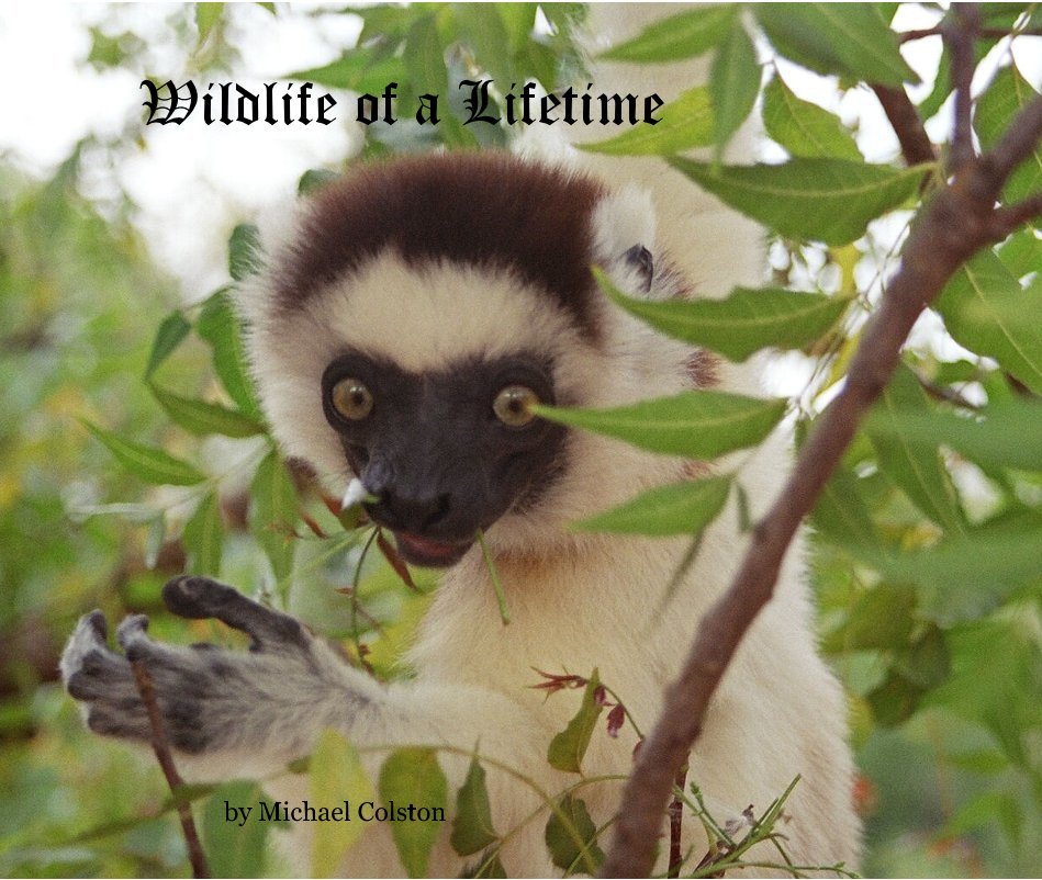 View Wildlife of a Lifetime by Michael Colston