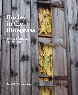 Burley in the Bluegrass book cover