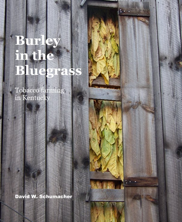 View Burley in the Bluegrass by David W. Schumacher