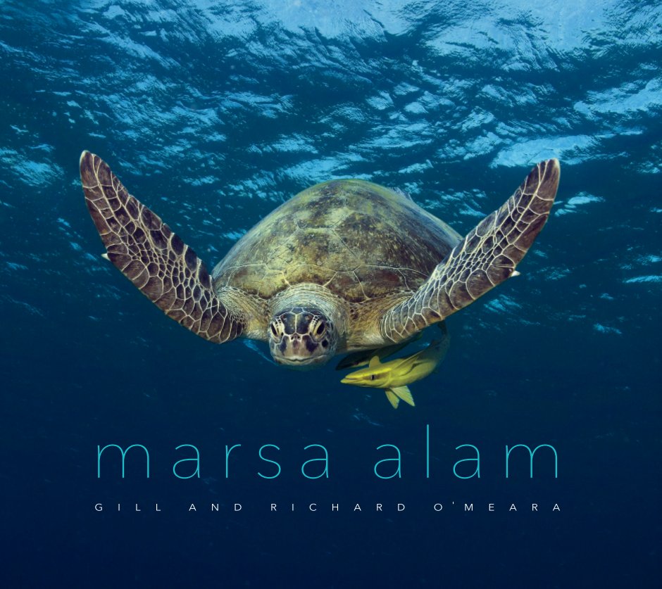 View Marsa Alam by Gill and Richard O'Meara