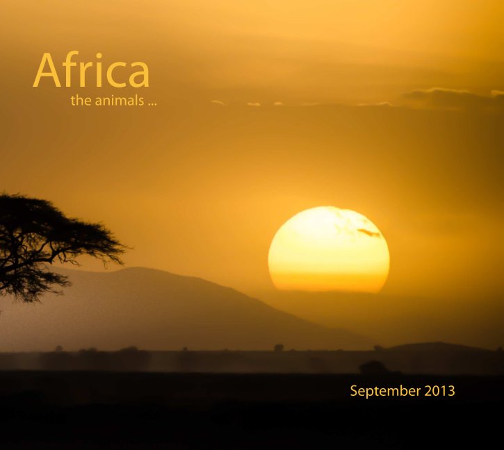 View Africa by Joseph Fischetti