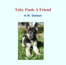 Toby Finds A Friend book cover