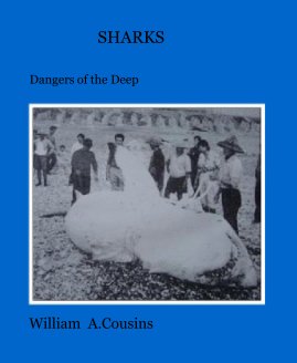 SHARKS book cover