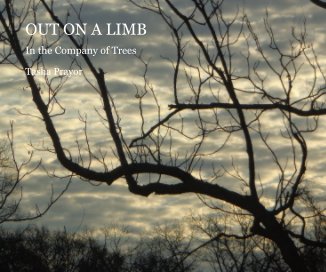 OUT ON A LIMB book cover