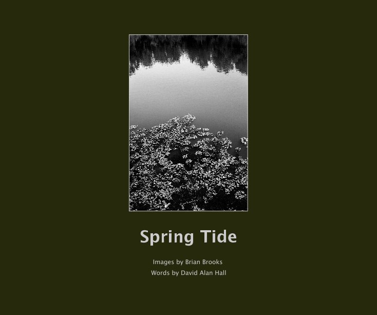 View Spring Tide by Images by Brian Brooks Words by David Alan Hall