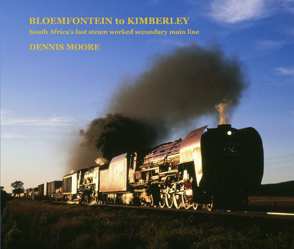 View BLOEMFONTEIN to KIMBERLEY [Very Large Landscape format] by Dennis Moore
