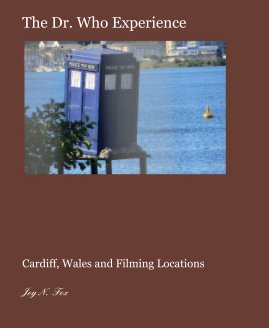 The Dr. Who Experience book cover