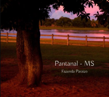 Pantanal - MS book cover