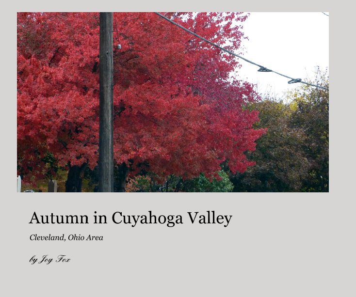 View Autumn in Cuyahoga Valley by Joy Fox