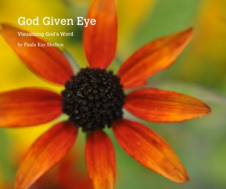 God Given Eye book cover
