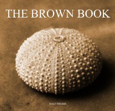 THE BROWN BOOK book cover