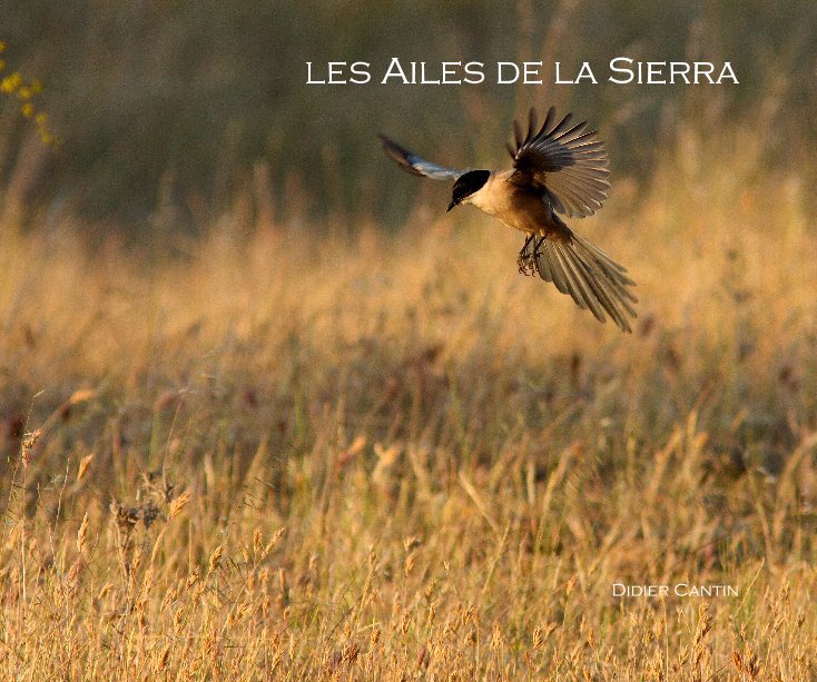 Ver les Ailes de la Sierra por Didier Cantin