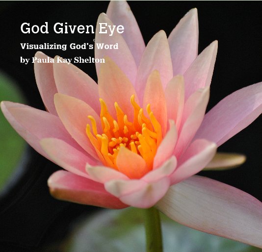 View God Given Eye by Paula Kay Shelton