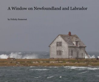 A Window on Newfoundland and Labrador book cover