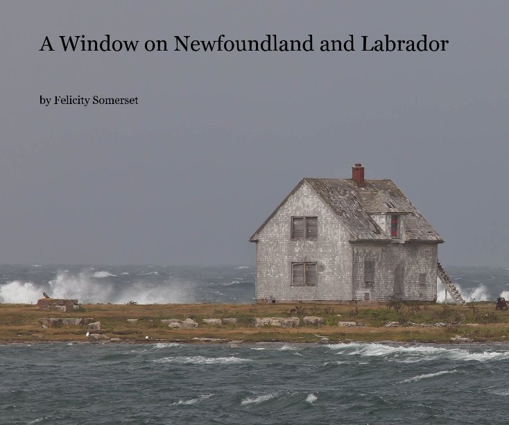 View A Window on Newfoundland and Labrador by Felicity Somerset