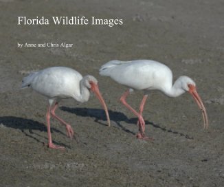 Florida Wildlife Images book cover