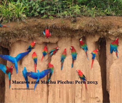 Macaws and Machu Picchu: Peru 2013 book cover
