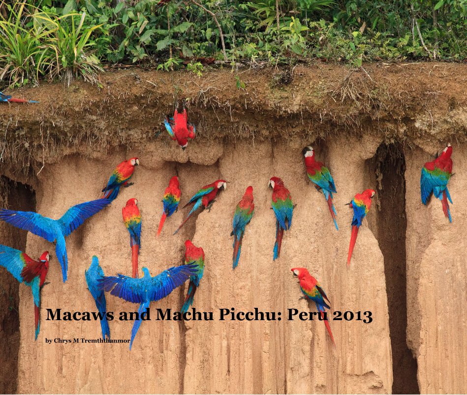 Ver Macaws and Machu Picchu: Peru 2013 por Chrys M Tremththanmor
