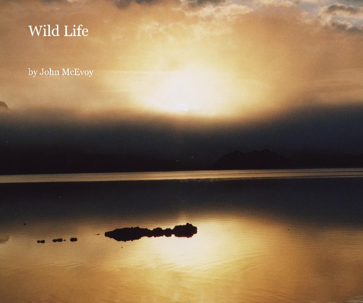 View Wild Life by John McEvoy