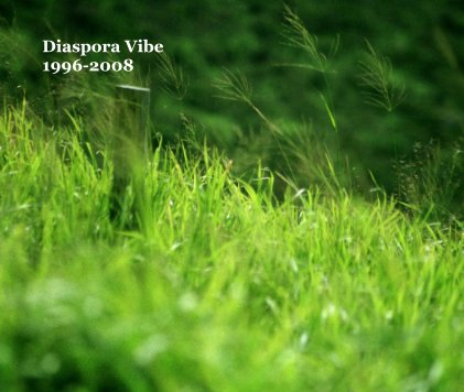 Diaspora Vibe 1996-2008 book cover