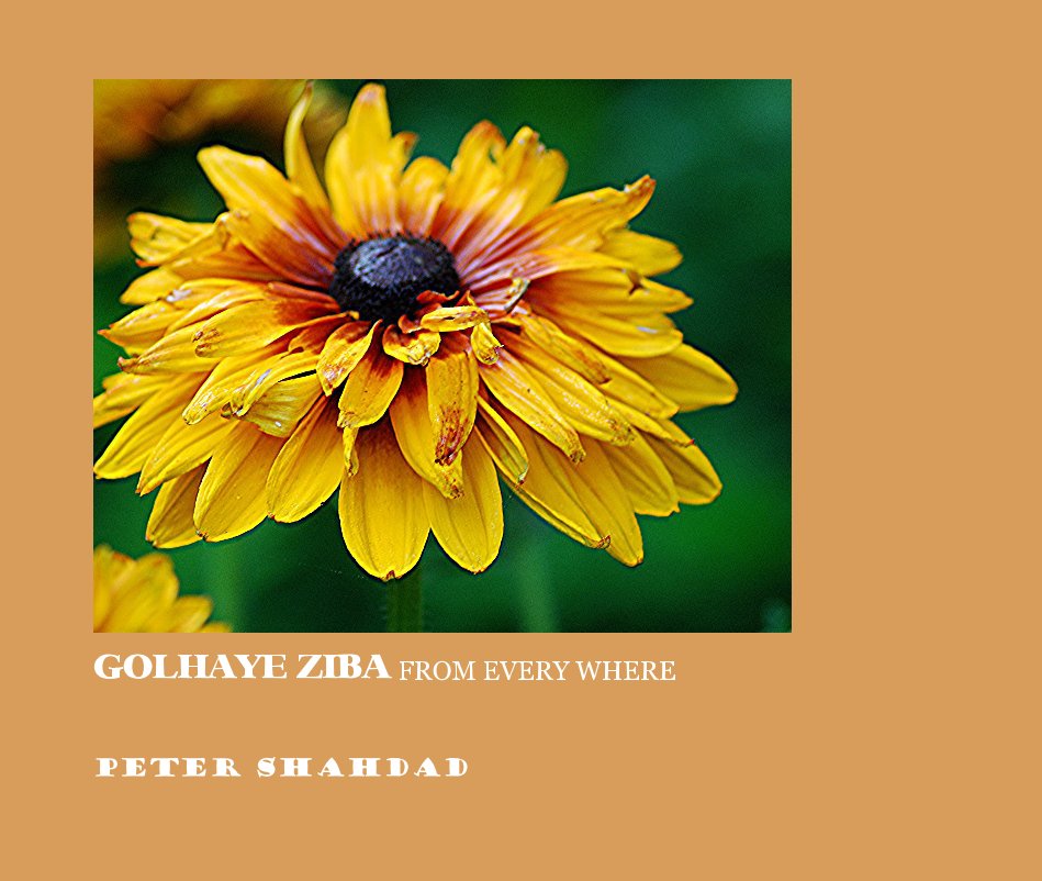 View GOLHAYE ZIBA [ beautiful flowers ] FROM schenectady by peter shahdad