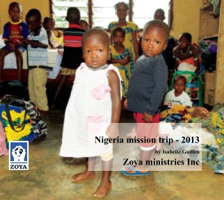 Nigeria medical mission trip - 2013 book cover