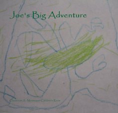 Joe's Big Adventure book cover