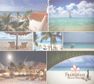 Frangipani Beach Resort book cover