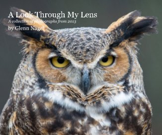 A Look Through My Lens: 2013 book cover