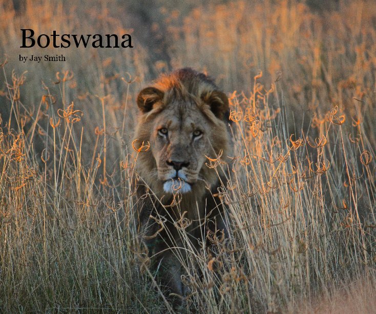 View Botswana by Jay Smith by March 31 - April 7, 2012