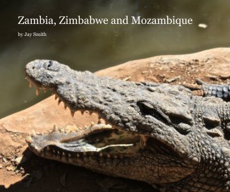 Zambia, Zimbabwe and Mozambique book cover