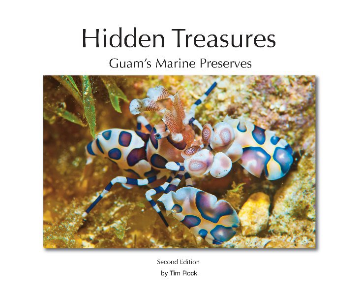 Visualizza Hidden Treasures, Second Edition di TIM ROCK