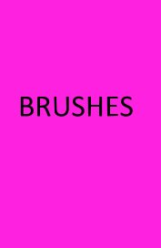 BRUSHES book cover